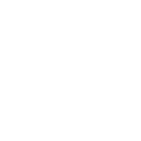 Schnitt
